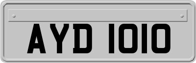 AYD1010