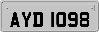 AYD1098
