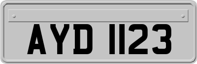 AYD1123