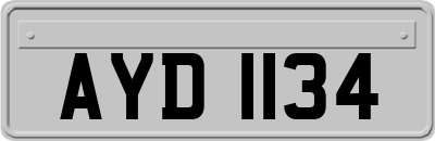 AYD1134