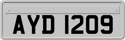 AYD1209