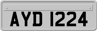 AYD1224