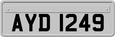 AYD1249