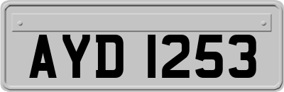 AYD1253