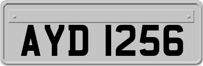 AYD1256