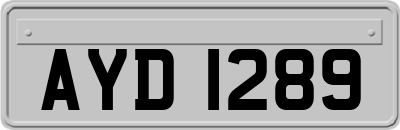 AYD1289