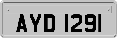 AYD1291