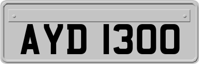 AYD1300