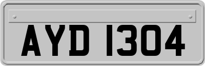 AYD1304