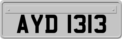 AYD1313