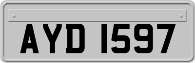 AYD1597