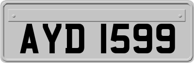 AYD1599