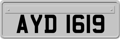 AYD1619