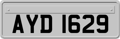 AYD1629