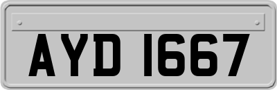AYD1667