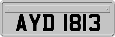 AYD1813