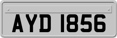 AYD1856