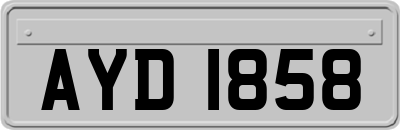 AYD1858