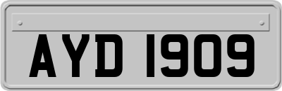 AYD1909