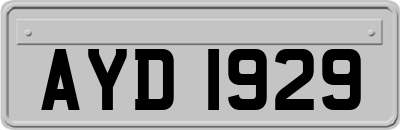 AYD1929