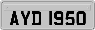 AYD1950
