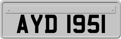 AYD1951