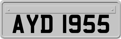 AYD1955