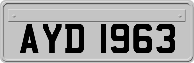 AYD1963