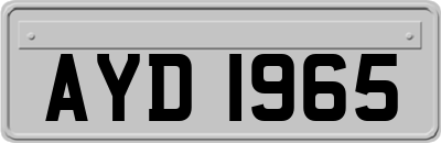 AYD1965
