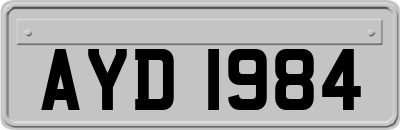 AYD1984