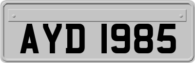 AYD1985