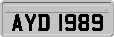 AYD1989