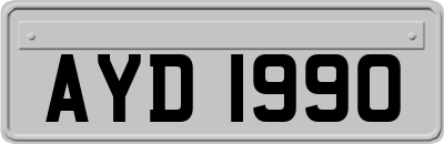 AYD1990