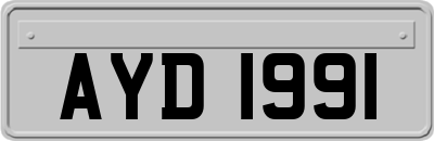 AYD1991