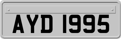 AYD1995