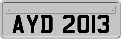AYD2013