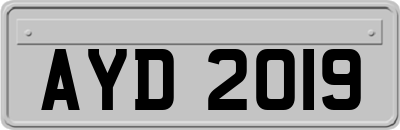 AYD2019