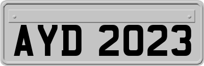 AYD2023
