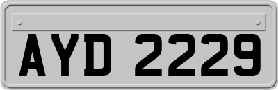 AYD2229