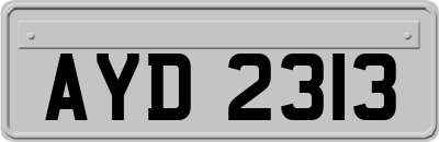 AYD2313