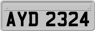 AYD2324