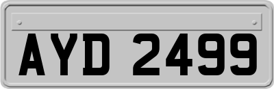 AYD2499
