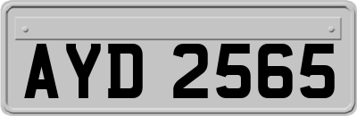 AYD2565