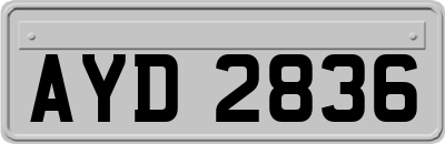AYD2836