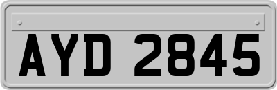 AYD2845