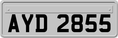 AYD2855