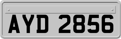 AYD2856