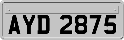 AYD2875