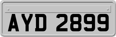 AYD2899