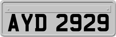 AYD2929